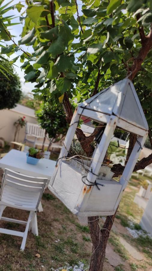 Casa Vacanze Olbia Zewnętrze zdjęcie